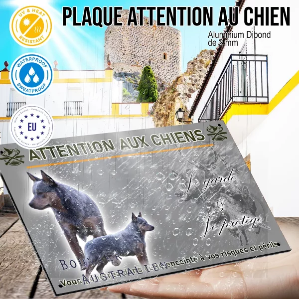 panneau Deux Bouvier Australiens en pose avec le texte Bouvier Australien