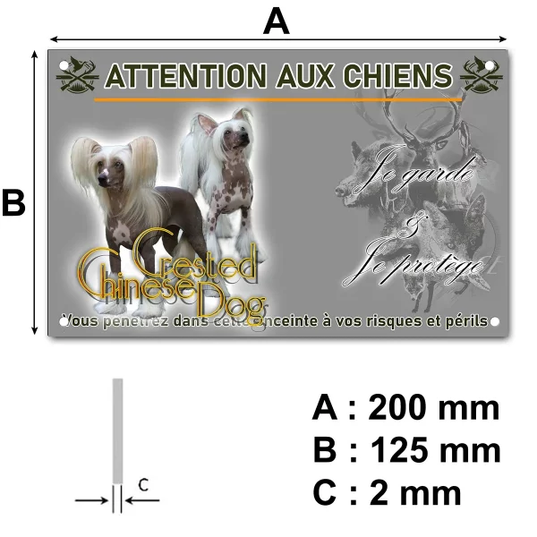 panneau Deux chiens Crested Chinese avec des poils longs et soyeux