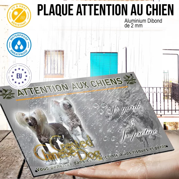 panneau Deux chiens Crested Chinese avec des poils longs et soyeux