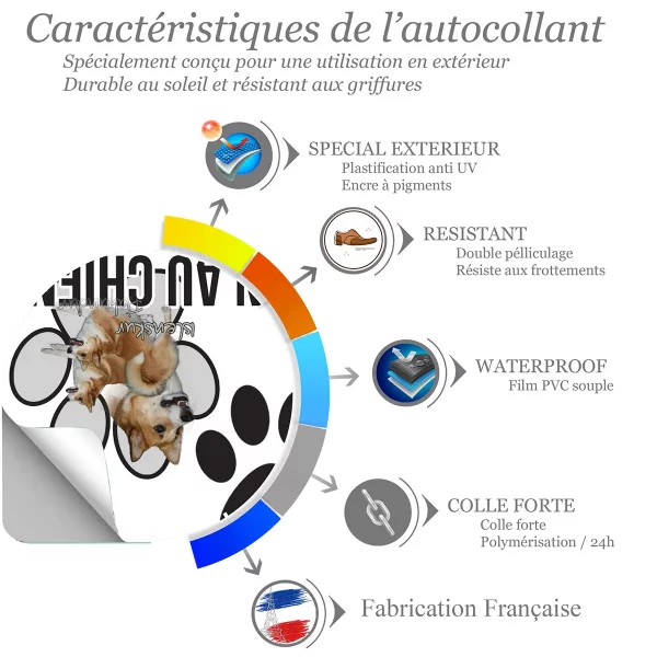 chien a bord