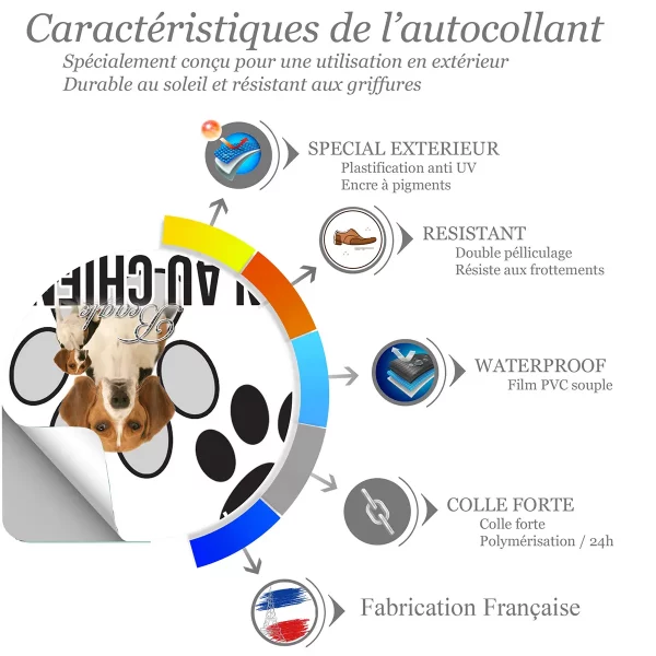 chien a bord Deux Beagles sur fond éclairci