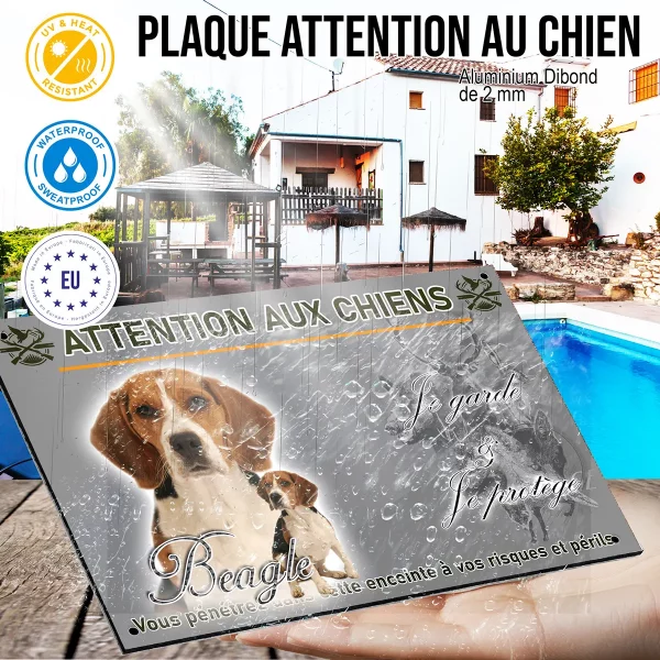 panneau Deux Beagles sur fond éclairci