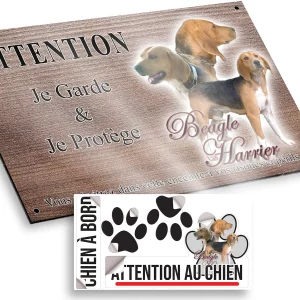 plaque attention au chien Trois Beagle Harrier présentant différentes poses