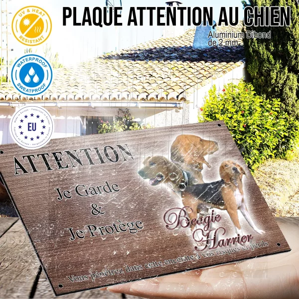 panneau attention au chien Trois Beagle Harrier présentant différentes poses