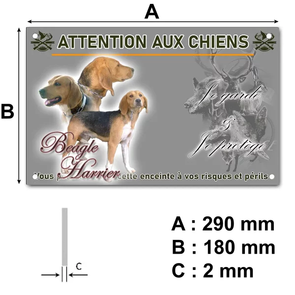 pancarte Trois Beagle Harrier présentant différentes poses