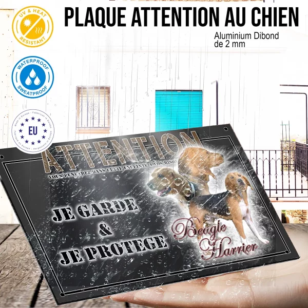 panneau chien de garde Trois Beagle Harrier présentant différentes poses