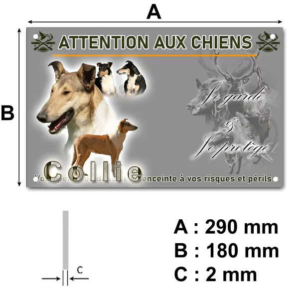 pancarte Image de plusieurs collies sur fond coloré avec texte Collie