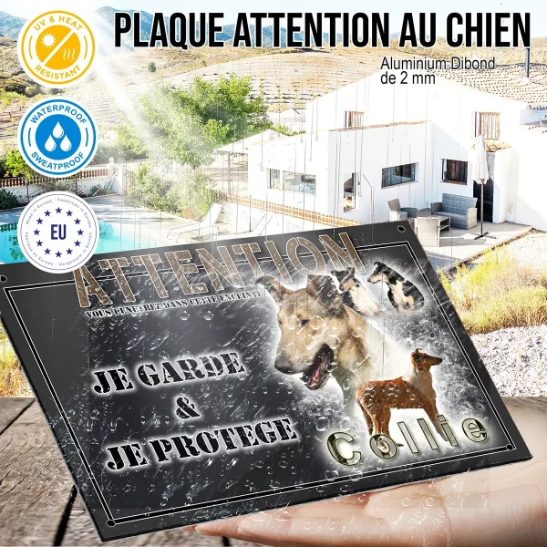 panneau chien de garde Image de plusieurs collies sur fond coloré avec texte Collie