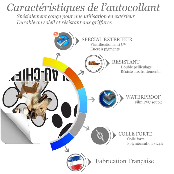 chien a bord Image de plusieurs collies sur fond coloré avec texte Collie
