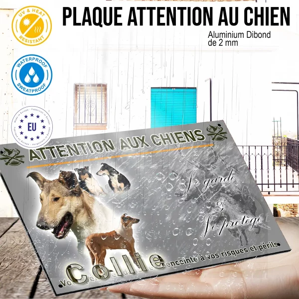 panneau Image de plusieurs collies sur fond coloré avec texte Collie