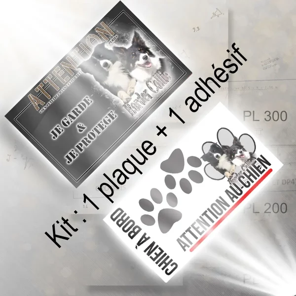 plaque chien de chasse Deux Border Collies