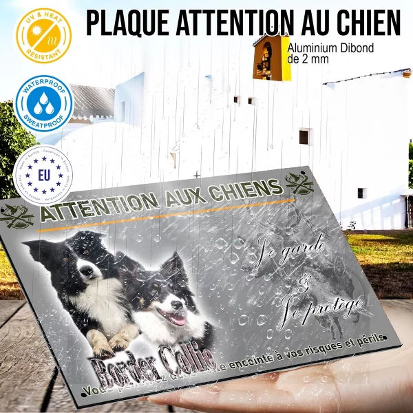 panneau Deux Border Collies