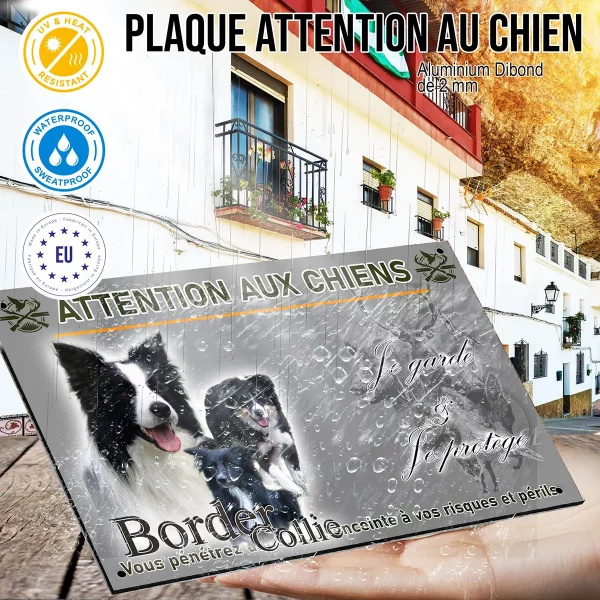 panneau Trois Border Collies sur un fond verdoyant.