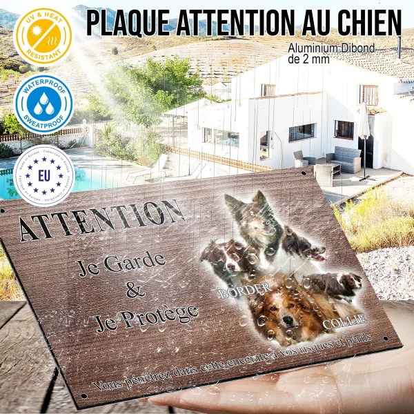 panneau attention au chien Collage de Border Collie en différentes poses