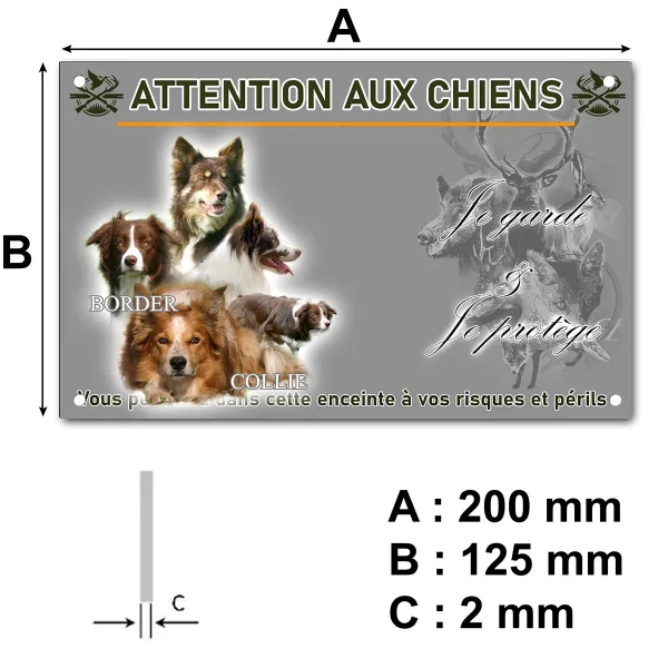 panneau Collage de Border Collie en différentes poses