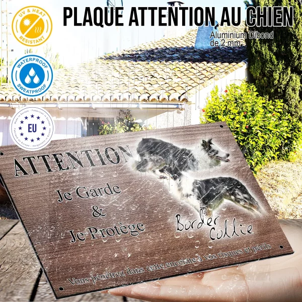 panneau attention au chien Image de Border Collie avec un fond transparent