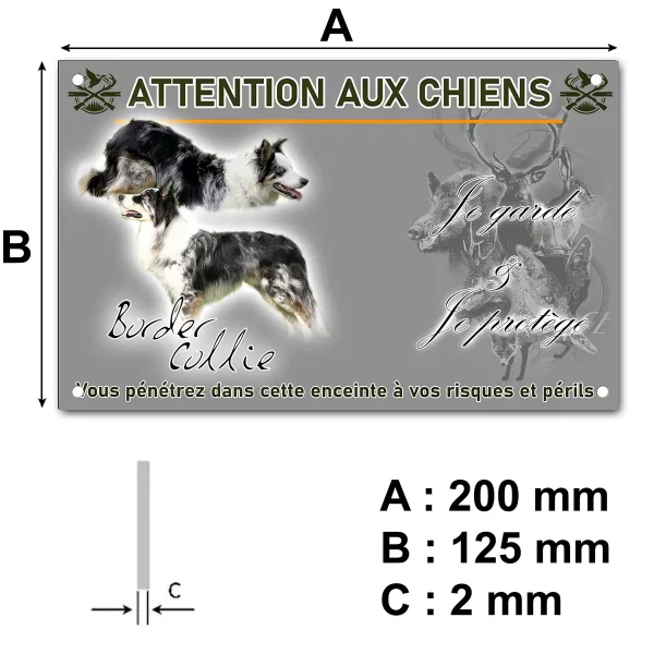 panneau Image de Border Collie avec un fond transparent