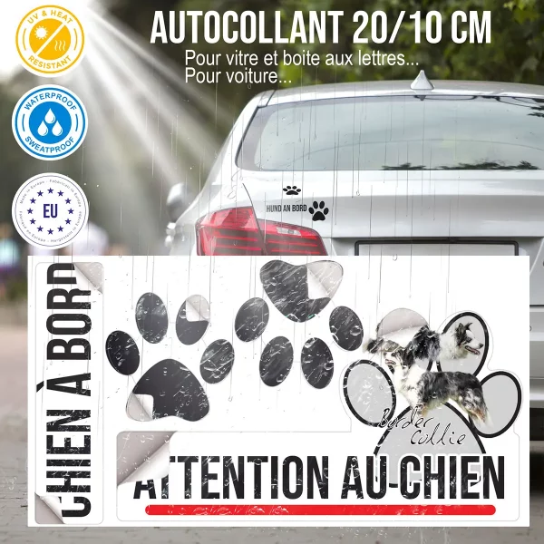 plaque chien de garde Image de Border Collie avec un fond transparent