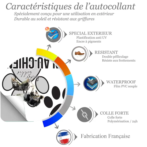 chien a bord Image de Border Collie avec un fond transparent
