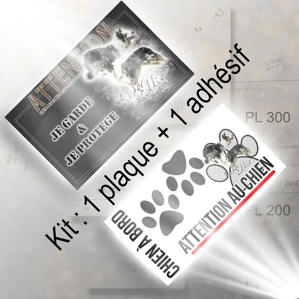 plaque chien de chasse Image de Border Collie avec un fond transparent
