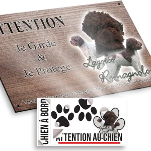 plaque attention au chien Trois chiens Lagotto Romagnolo avec pelages frisés