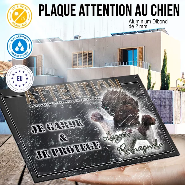 panneau chien de garde Trois chiens Lagotto Romagnolo avec pelages frisés