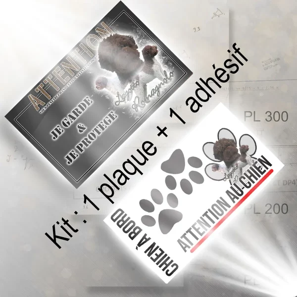 plaque chien de chasse Trois chiens Lagotto Romagnolo avec pelages frisés