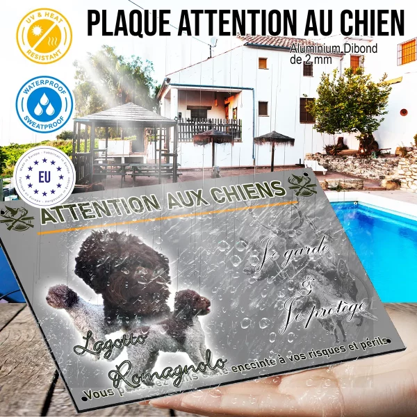 panneau Trois chiens Lagotto Romagnolo avec pelages frisés