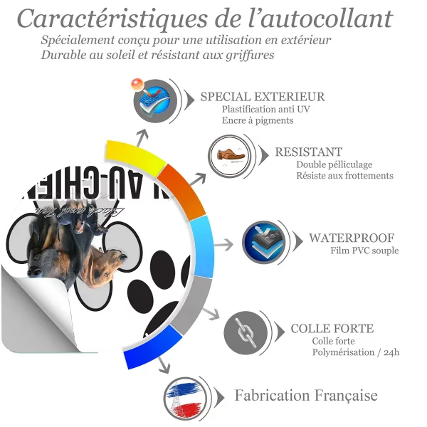 chien a bord Chien Black and Tan Coonhound avec plusieurs angles de vue
