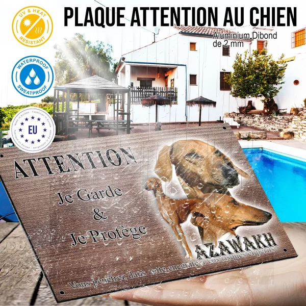 panneau attention au chien Azawakh avec portraits et silhouettes en arrière plan