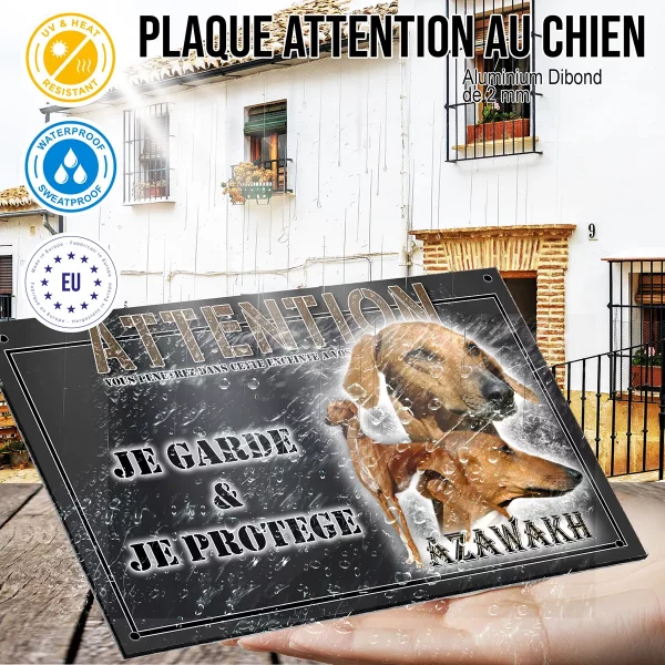 panneau chien de garde Azawakh avec portraits et silhouettes en arrière plan