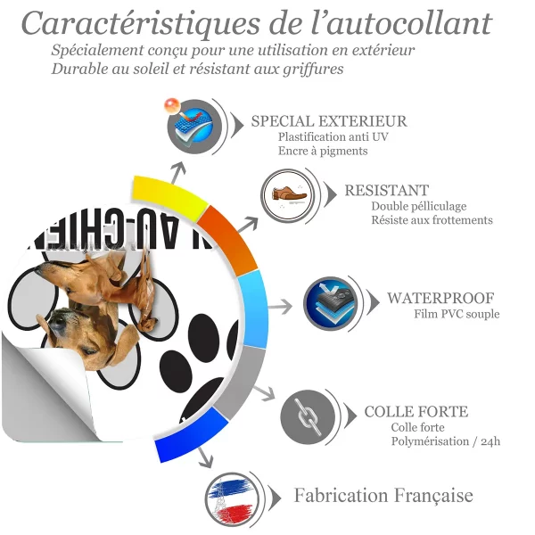 chien a bord Azawakh avec portraits et silhouettes en arrière plan