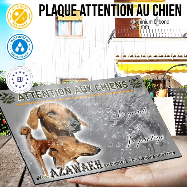 panneau Azawakh avec portraits et silhouettes en arrière plan