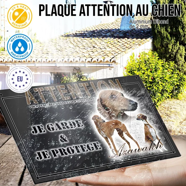 panneau chien de garde Azawakh
