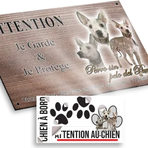 plaque attention au chien Trois portraits d'un Perro sin pelo del Perú avec un collier distinctif