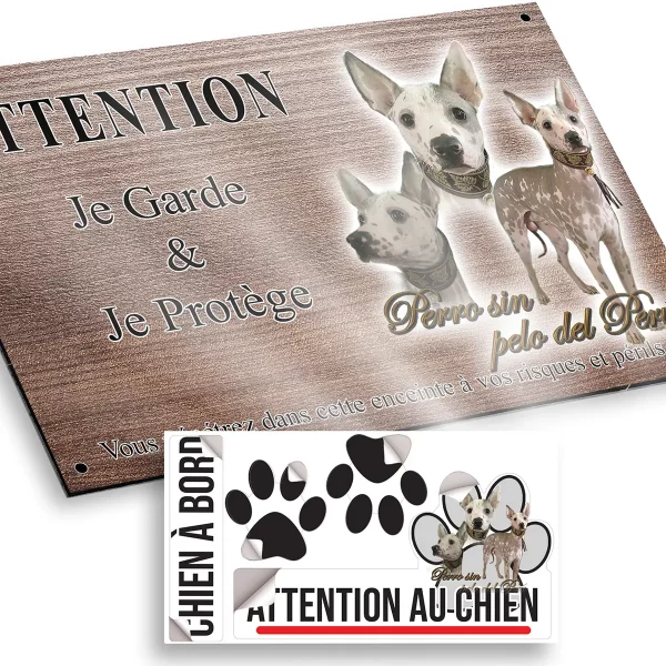plaque attention au chien Trois portraits d'un Perro sin pelo del Perú avec un collier distinctif