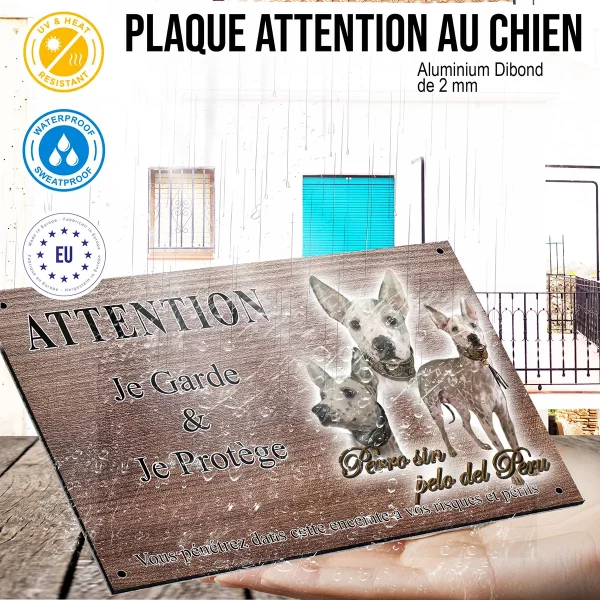 panneau attention au chien Trois portraits d'un Perro sin pelo del Perú avec un collier distinctif