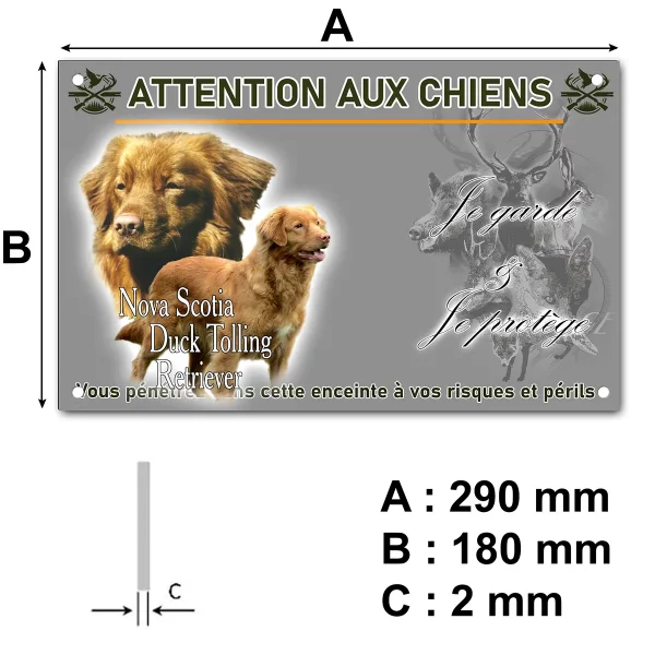 pancarte Image de Nova Scotia Duck Tolling Retriever