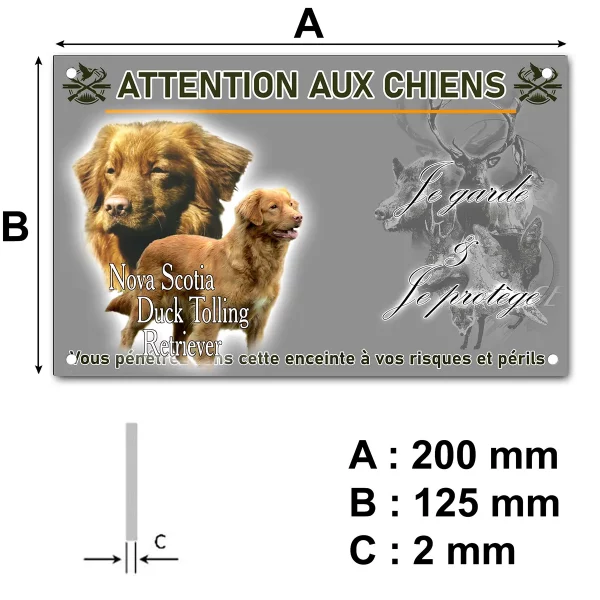 panneau Image de Nova Scotia Duck Tolling Retriever