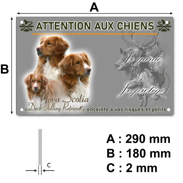 pancarte 3 chiens Nova Scotia Duck Tolling Retriever