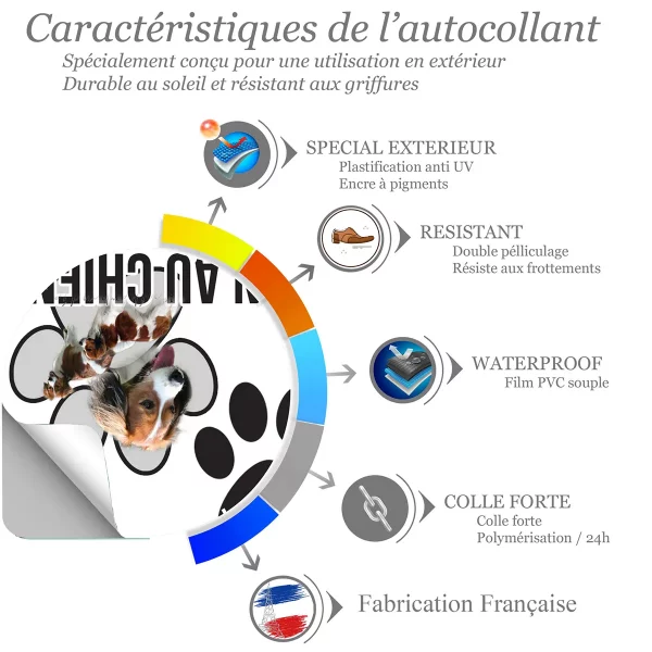 chien a bord Trois Kooikerhondjes en mouvement avec un texte en bas