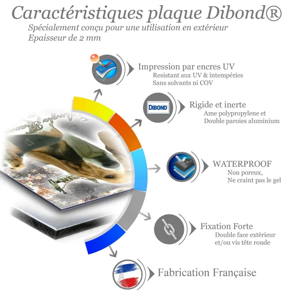 je monte la garde Anglo Français Tricolore avec plusieurs chiens en arrière plan
