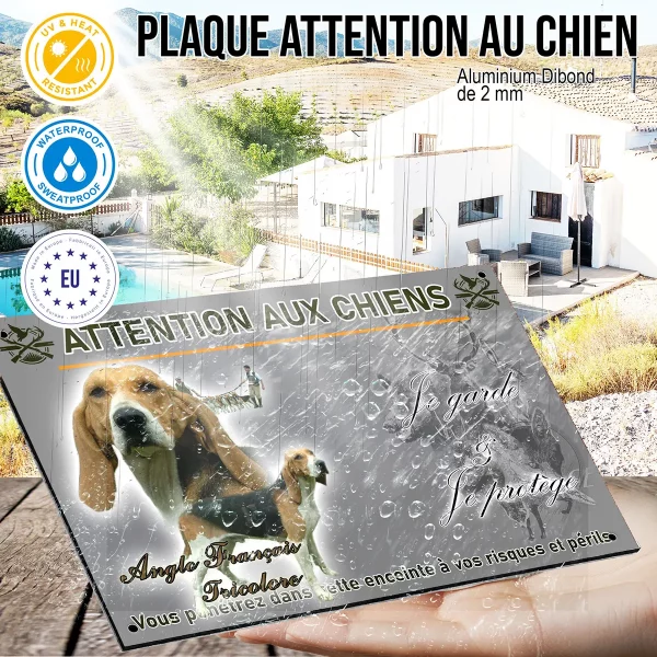 panneau Anglo Français Tricolore avec plusieurs chiens en arrière plan