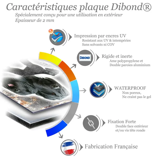 je monte la garde Tchiorny Terrier avec trois visuels différents