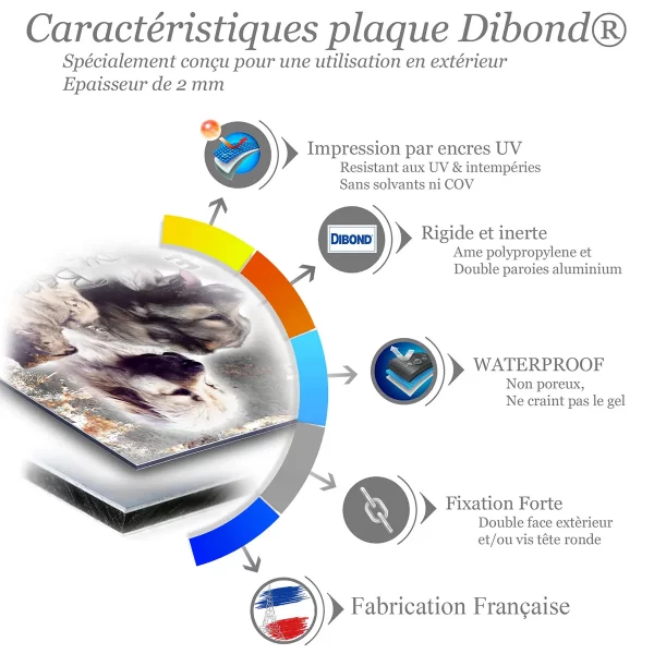 je monte la garde Collection de chiens Berger Caucasien avec arrière plan dégradé