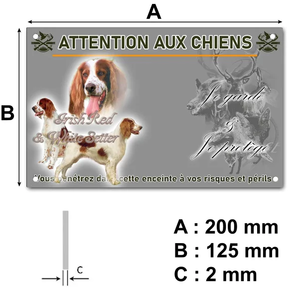 panneau Irish Red and White Setter en portrait et entier