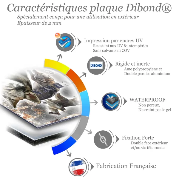 je monte la garde Illustrations d'un Chien Loup Tchèque en différentes poses