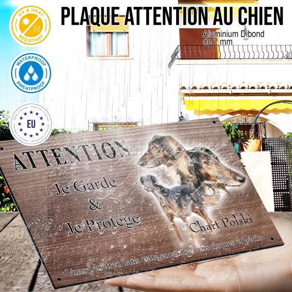 panneau attention au chien Afghan Hound avec têtes et corps sur fond neutre