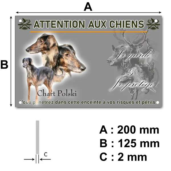 panneau Afghan Hound avec têtes et corps sur fond neutre