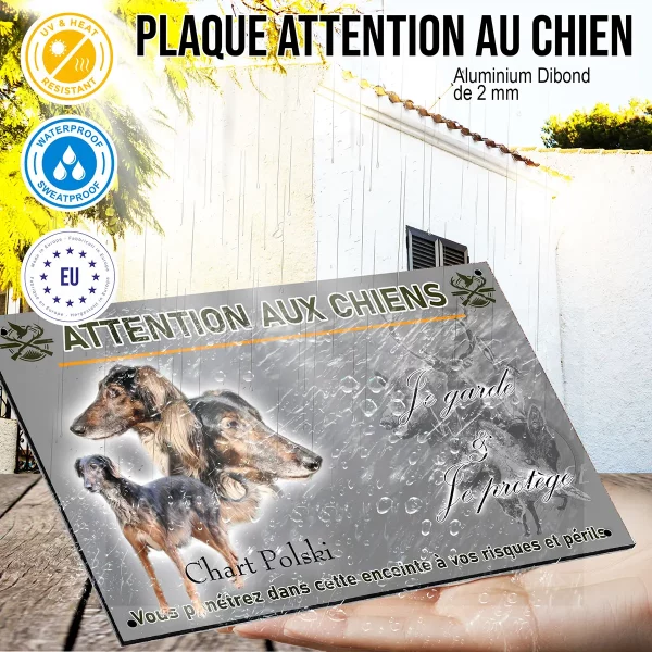 panneau Afghan Hound avec têtes et corps sur fond neutre
